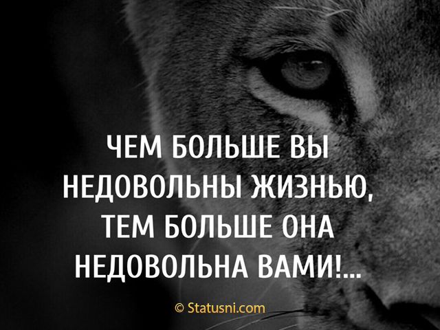 ЧЕМ БОЛЬШЕ ВЫ НЕДОВОЛЬНЫ ЖИЗНЬЮ ТЕМ БОЛЬШЕ ОНА НЕДОВОЛЬНА ВАМИ Зтапвпідот