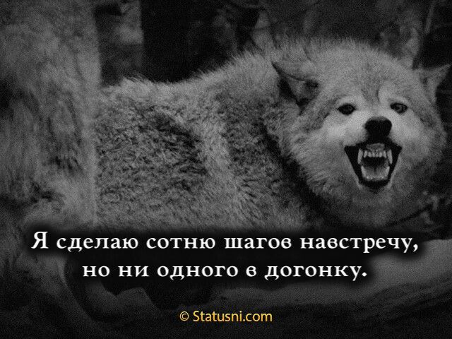 _ _ елаю сотню шагов навстречу но ни одного в догонку Зтагизпідот
