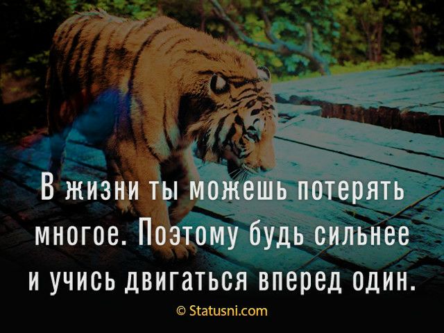 __ ё ж ВЁНИ многое По и учись двигатьЁя Зтагиэпілот Пёд ин