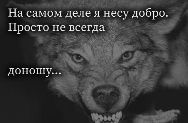 На самом деле яне_су добро Просто не всегда