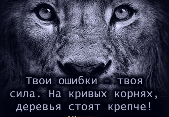 3 И Твоинбшибкиівоя сила На кривых корнях деревья стоят крепче