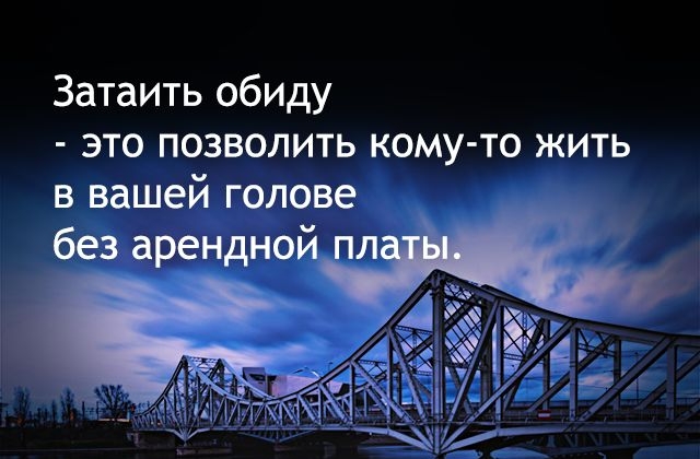 Затаить обиду это позволить кому то жить в вашей голове без арендной _ _ 1