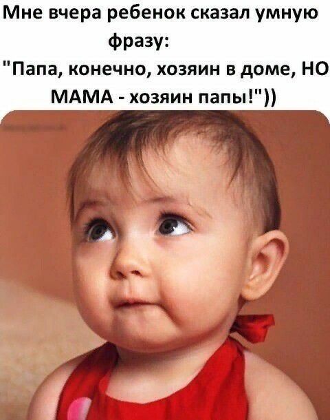 Мне вчера ребенок сказал умную Фразу Папа конечно хозяин в доме НО МАМА хозяин папы