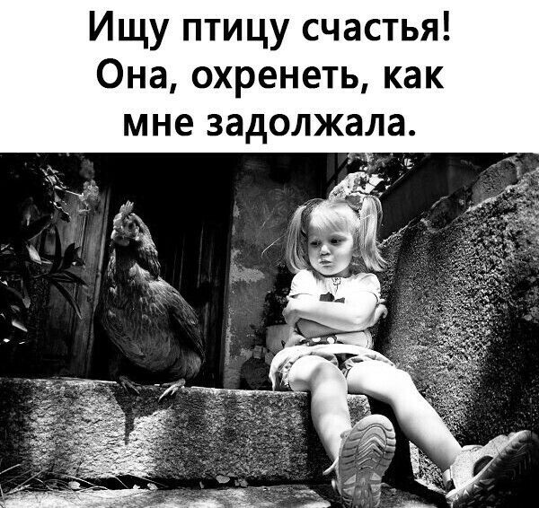 Ищу птицу счастья Она охренеть как мне задолжала
