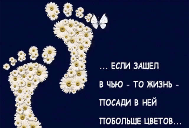 я если здшвп в чью то жизнь посдди ней повопьше цветов