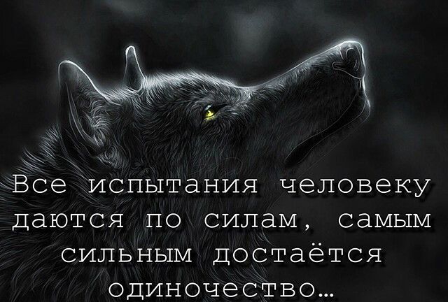 і ЧЁсеЁиспытания человеку даются по силам самым сильным Достаётся одиночество