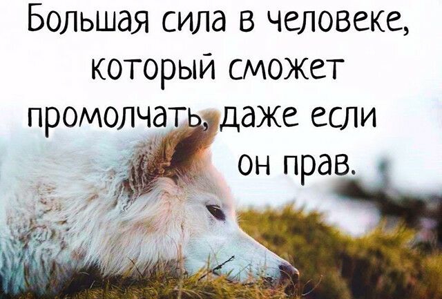 Большая сила в человеке который сможет промолчат даже если он прав