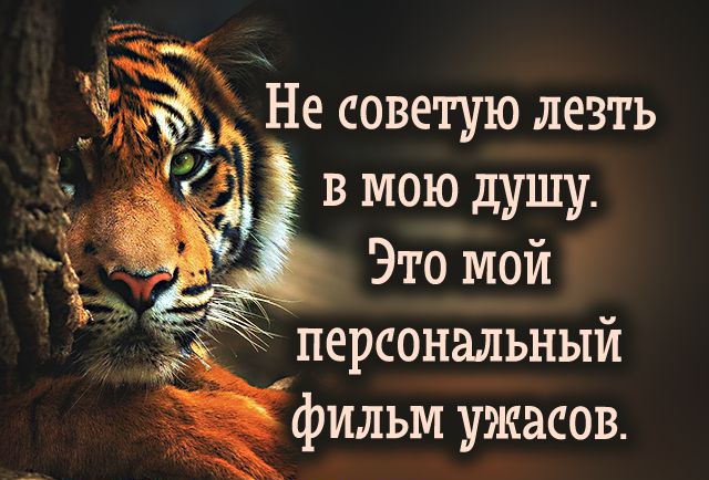 Бауржан Тойшибеков - Помни всегда вот о чём: что бы ты