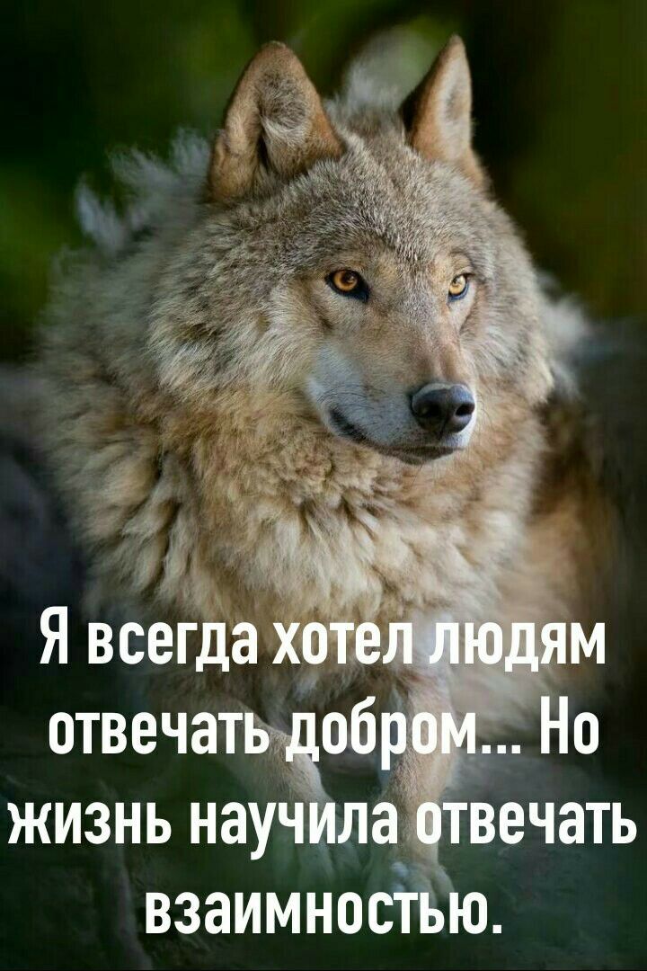 Я всегда отвечацвщ жизнь науч