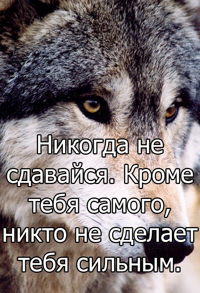 ніто не сасделает чтебгё СК ьн ым