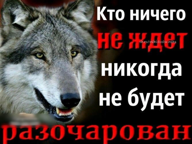 Кто ничего