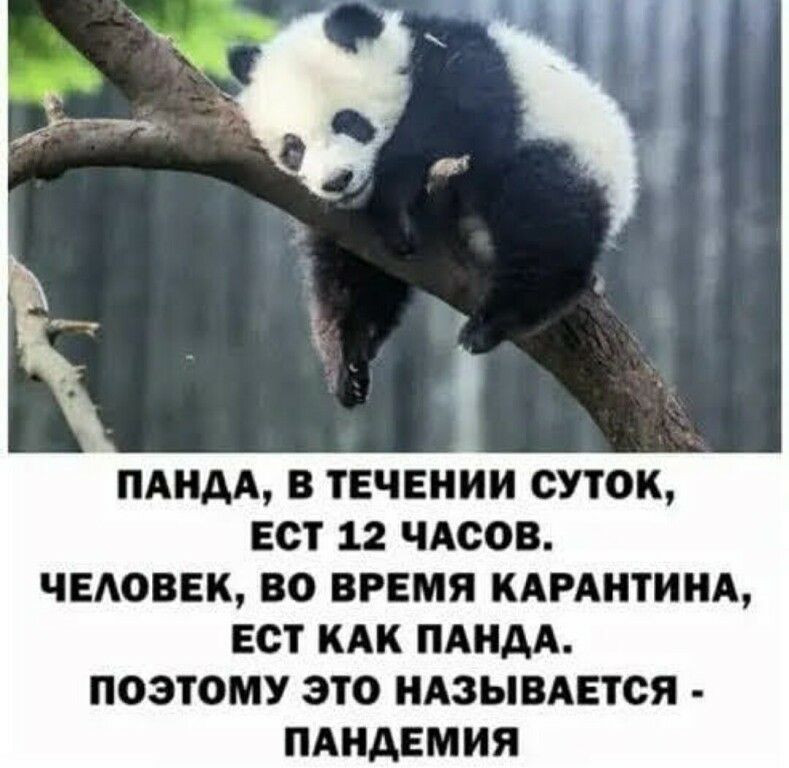 ПАНАА В ТЕЧЕНИИ СУТОК ЕСТ 12 ЧАСОВ ЧЕАОВЕК ВО ВРЕМЯ КАРАИТИНА ЕСТ КАК ПАНАА ПОЭТОМУ ЭТО НАЗЫВАЕТСЯ ПАНАЕМИЯ