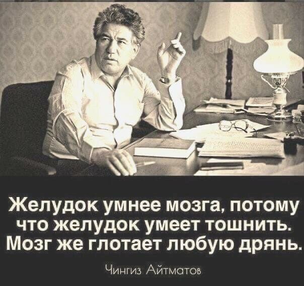 Желудок умнее мозга потому что желудок умеет тошнить Мозг же глотает любую дрянь Чингиз Айтматов