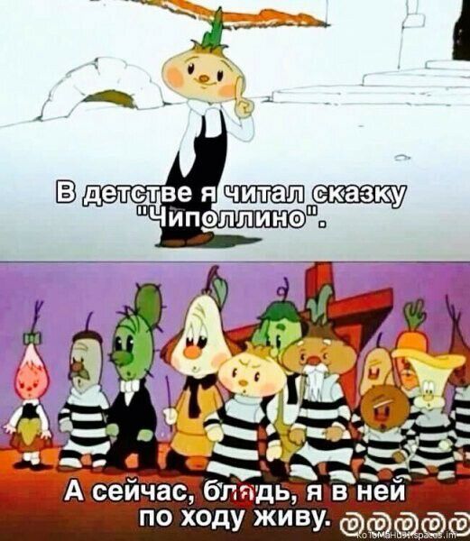 _ і А сеидас биддщяавіеи по ходу живу