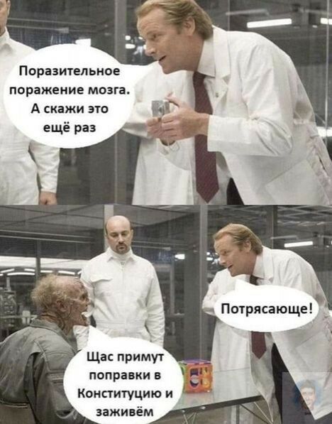 Поразительное поражение мозга А скажи это ещё раз Щас примут поправки в Конституцию и заживём