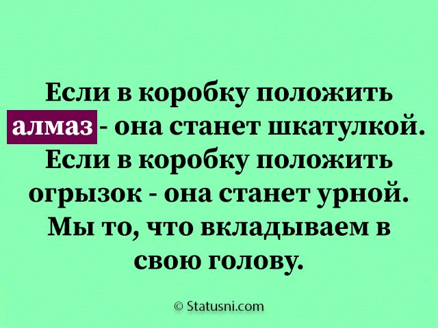 Если в коробку положить она станет шкатулкой Если в коробку положить огрызок она станет урной Мы то что вкладываем в свою голову Эіашэпілот