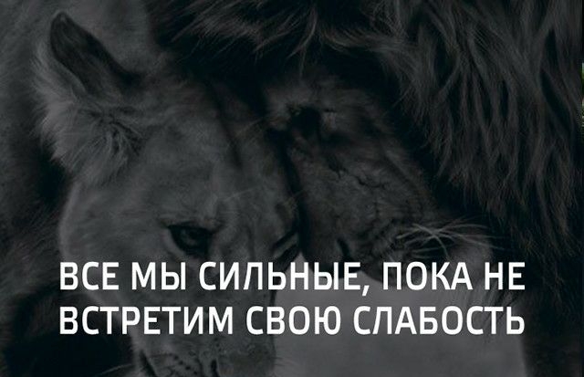 ВСЕ МЫ СИЛЬНЫЕ ПОКА НЕ ВСТРЕТИМ СВОЮ СПАБОСТЬ