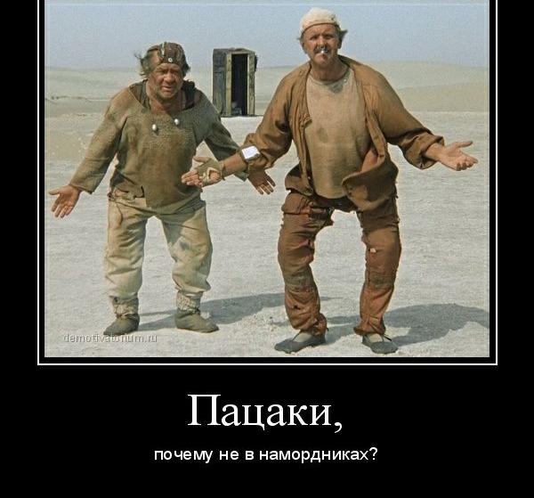 Пацаки почему не в намордниках