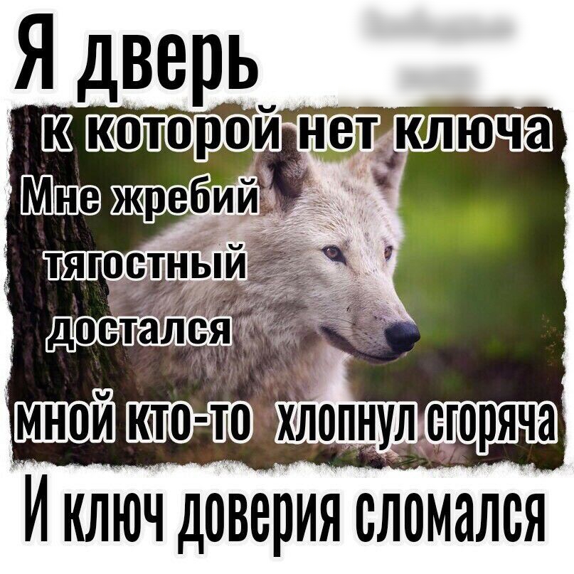 И Ключ доверия споМаЛся