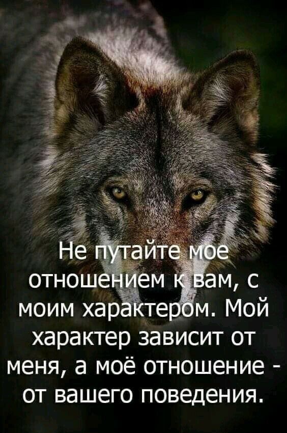 характер 3авИсит от меня а моё отношение от вашего поведения