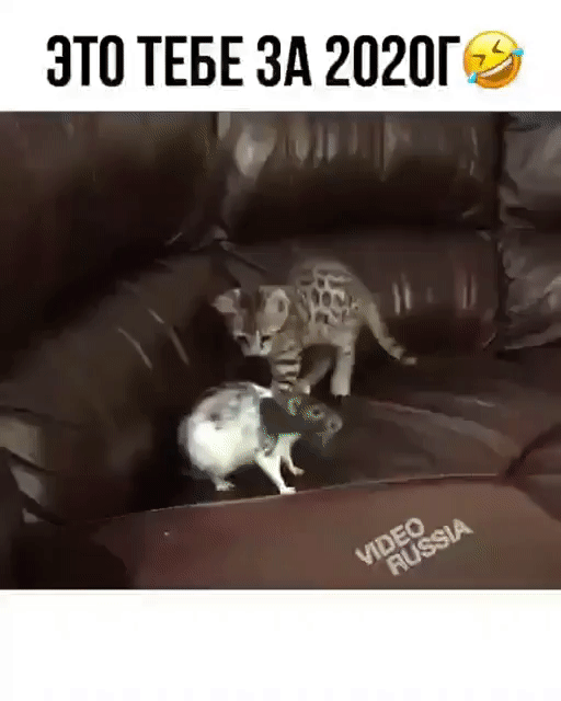 ЭТП ТЕБЕ ЗА 2020Г