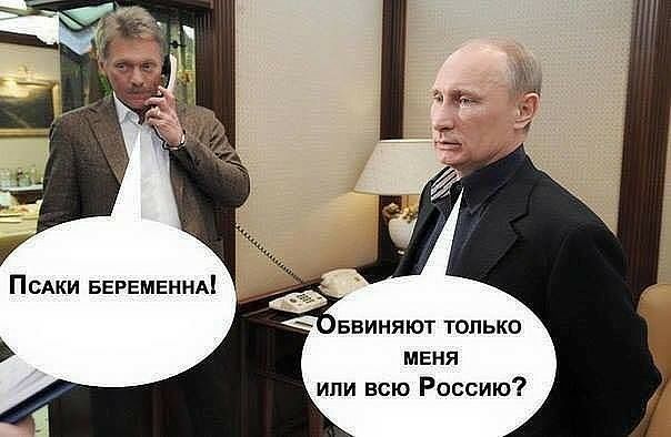 ПСАКИ БЕРЕМЕННА ввиняют только меня или всю Россию