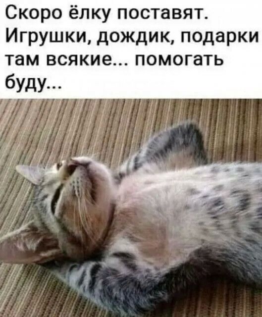Скоро ёлку поставят Игрушки дождик подарки там всякие помогать