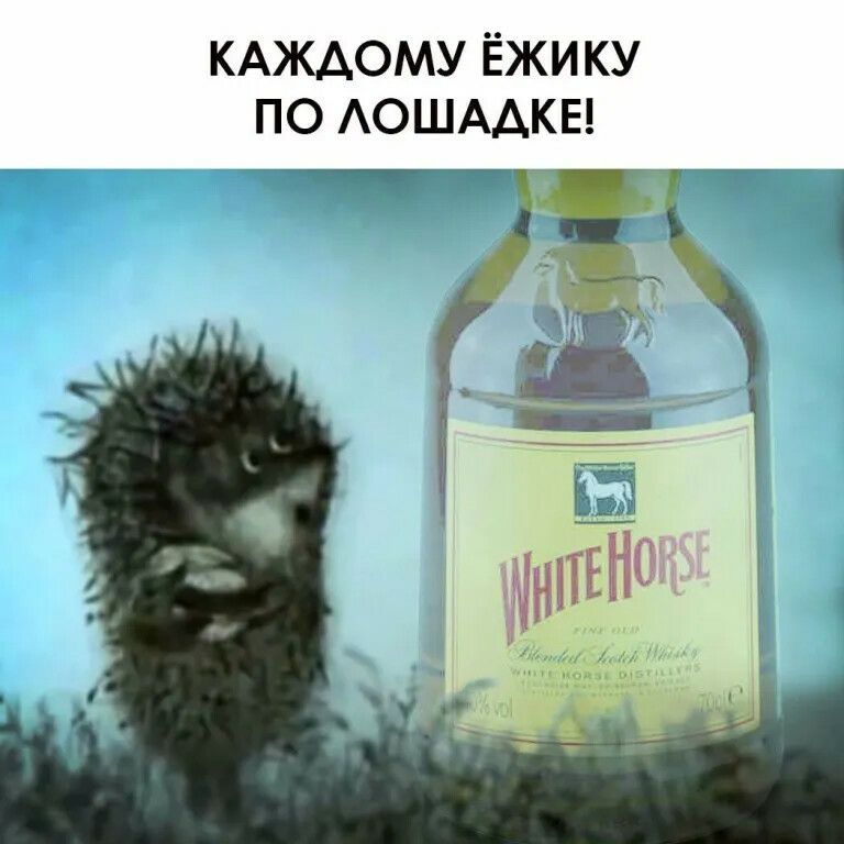 КАЖДОМУ ЁЖИ КУ ПО АОШААКЕ т _ __
