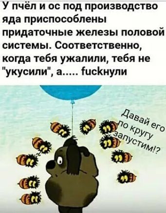 У пчёл и ос под производство яда приспособлены придаточные железы половой системы Соответственно когда тебя ужалипи тебя не укусипи а іисКнупи