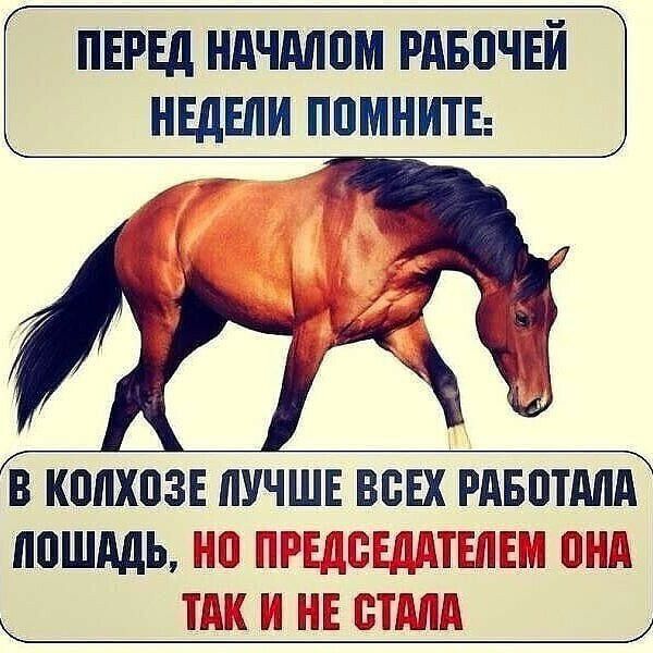 ПЕРЕД НАЧМПМ РдБПЧЕЙ 1 НЕДЕЛИ ППМНИТЕ в колхозе пучшв всвх рдвптдпд ппшдды 3 Етптсаппш и 5 и