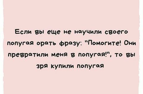 Если вы еще не научили своего попугая орать фразу Помогите Они превратили меня в попугая то вы зря купили попугая