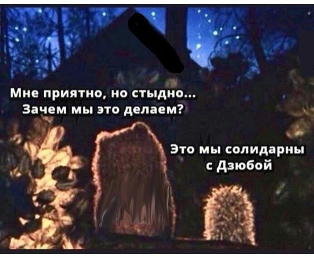 Мне приятно но стыдно Зачем мы это делаем 8 Это мы солидарны дзюбой