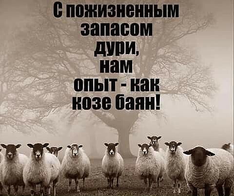 ПШШИЗНЕНПЫМ запасом дпни нам ВШ наи 038 пани