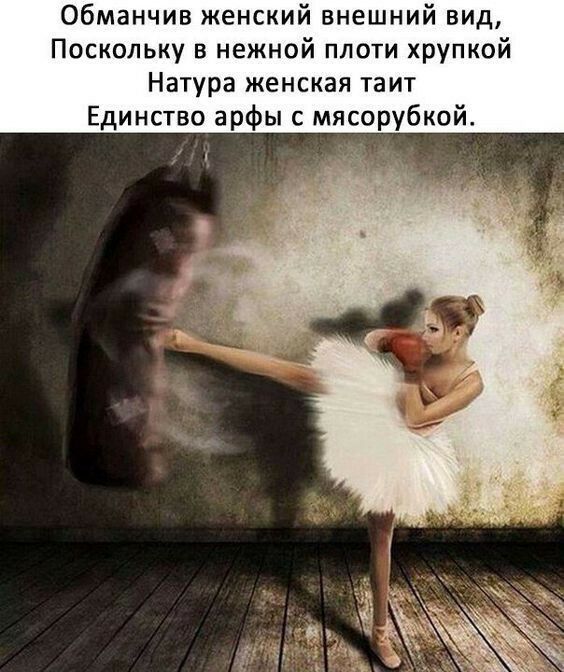 Обманчив женский внешний вид Поскольку в нежной плоти хрупкой Натура женская таит Единство арфы с мясорубкой