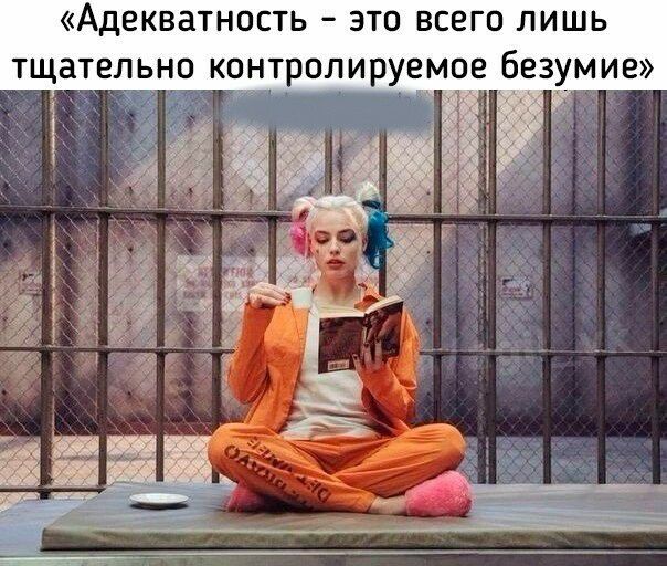 АДЕКВЗТНОСТЬ ЭТО ВСЕГО ЛИШЬ ТЩЗТЕЛЬНО контролируемое безумие