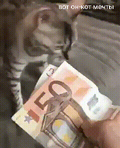 впадет мечты