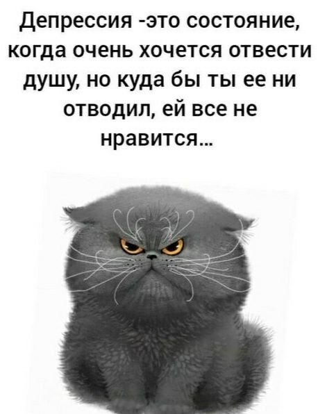 Депрессия это состояние когда очень хочется отвести душу но куда бы ты ее ни отводил ей все не нравится