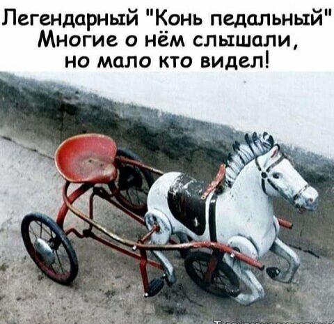 Легендарный і__онь педальный Многие о нем слышали но мало кто видел