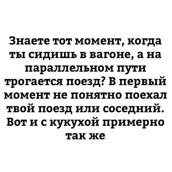 Знаете тот момент когда ты сидишь в вагоне а на параллельном пути трогается поезд В первый момент не понятно поехал твой поезд или соседний Вот и с кукухой примерно так же
