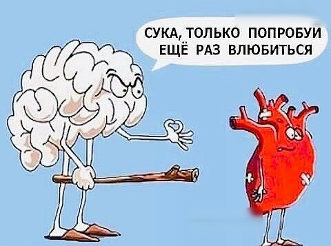 СУКАЦТОЛЬКО ПОПРОБУИ ЕЩЕ РАЗ ВПЮБИТЬСЯ