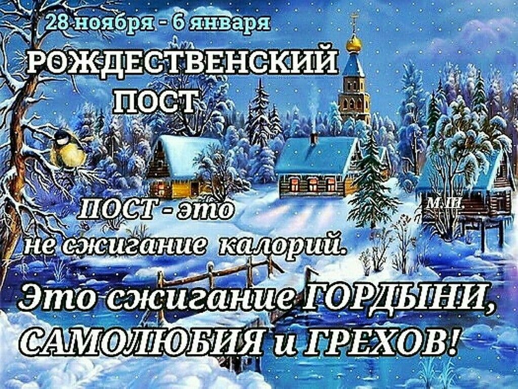 286нэября