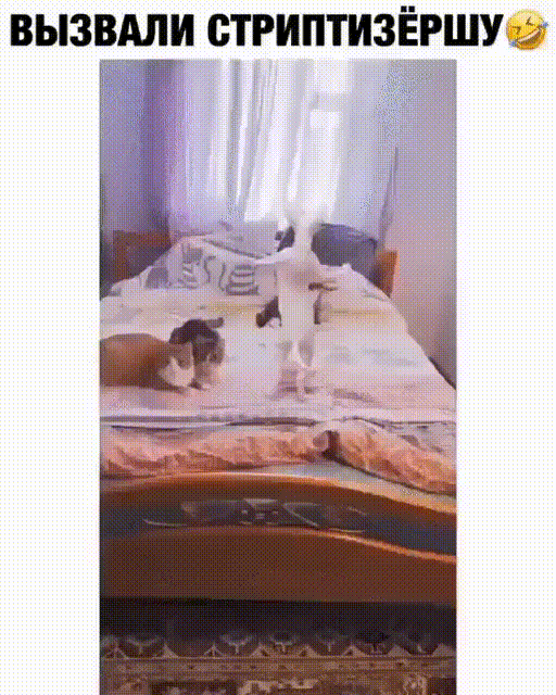 ВЫЗВАЛИ СТРИПТИЗЁРШУЁ