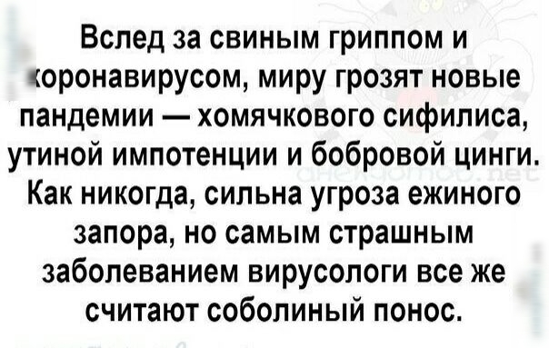 Вслед за свиным гриппом и оронавирусом миру грозят новые пандемии хомячкового сифилиса утиной импотенции и бобровой цинги Как никогда сильна угроза ежиного запора но самым страшным заболеванием вирусологи все же считают соболиный понос