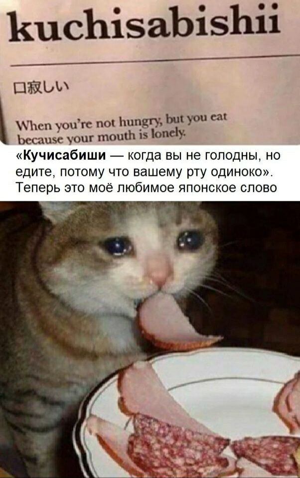 КцсЪізаЪізЪіі ШЖЫА Ъсп уоигс по шпдгу Ь уон см Ьссяшж уош топ 15 опсіу Кучисабиши когда вы не голодны но едите ПОТОМУ ЧТО вашему рту ОДИНОКО Теперь ЭТО МОЁ Любимое ЯПОНСКОЕ СЛОВО