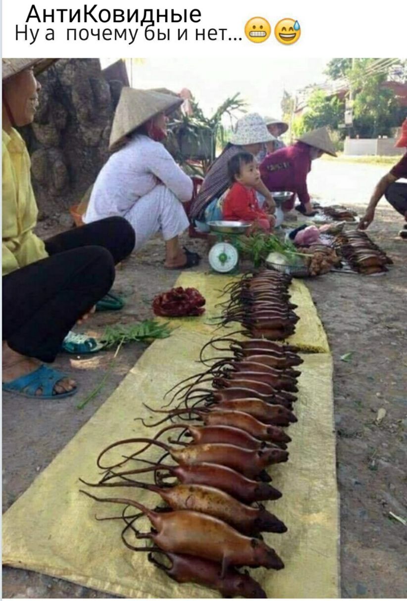 АнтиКови ные Нуа почему ы и нет