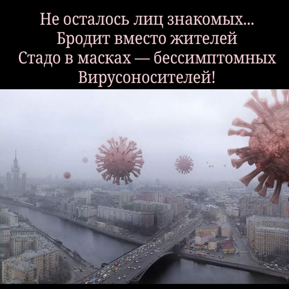 Не осталось лиц знакомых Бродит вместо жителей Стадо в масках бессимптомных Вирусоносителей