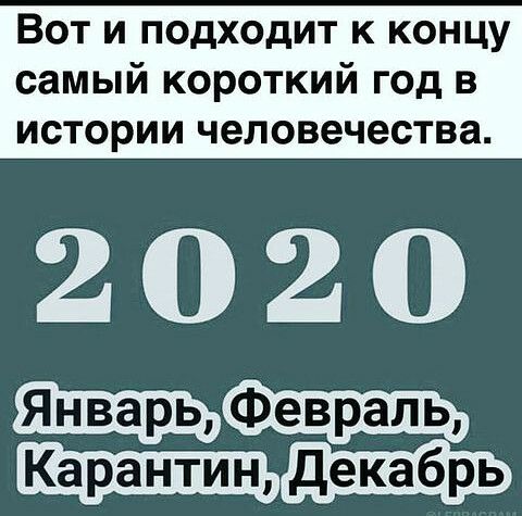 Вот и подходит к концу самый короткий год в ИСТОРИИ человечества 2020 _