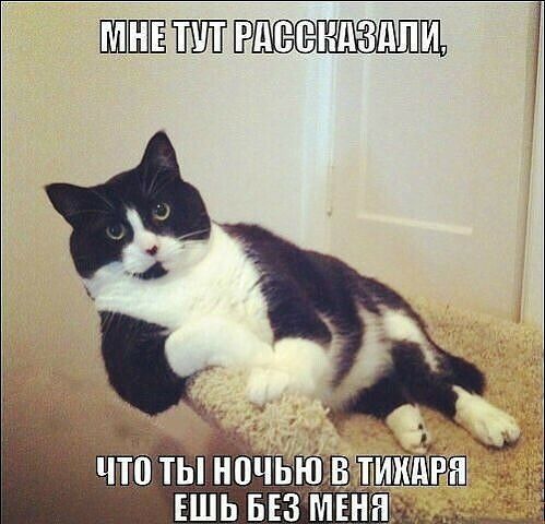 ПШШЕ ЁШЁЕЁЁЕЁШЪЩ ночьюимдгн ЕШЬ 53 мвн