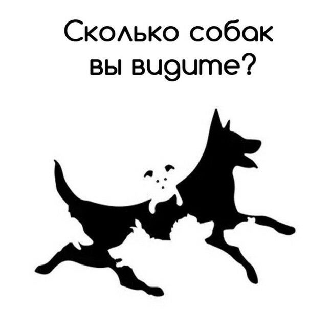 СКОАЬКО собок вы вц9цте