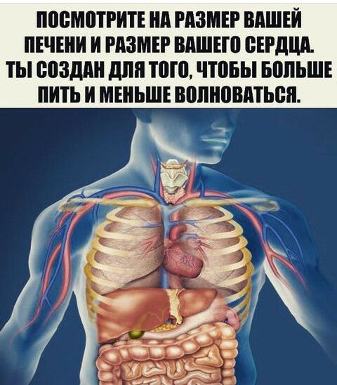 ППБМШТРИТЕ А РАЗМЕР ВАШЕЙ ПЕЧЕИ И РАЗМЕР ВАШЕШ БЕРдЦА ТЫ возми для ШШ ППБЫ БАПЬШЕ И И МЕНЬШЕ ВЮПНВВАТЬЕП